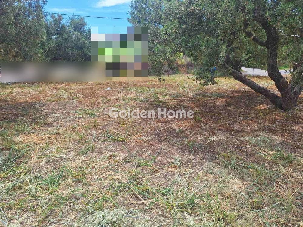 Οικόπεδο στην Βασιλείες, Αρχάνες — Φωτογραφία 4 από 7