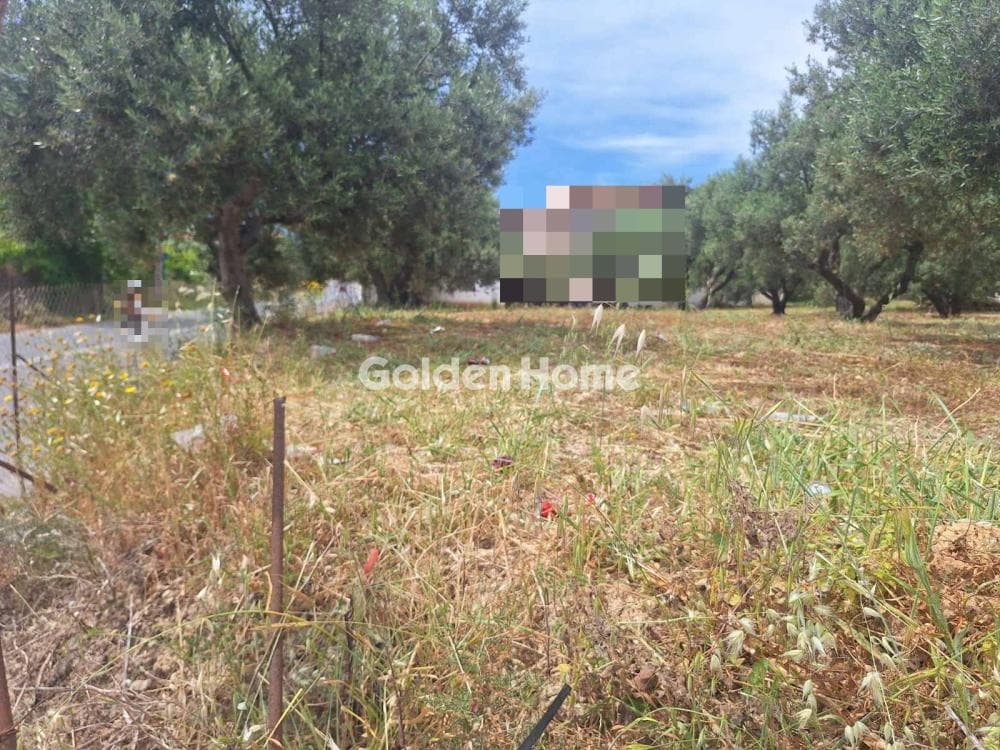 Οικόπεδο στην Βασιλείες, Αρχάνες — Φωτογραφία 6 από 7