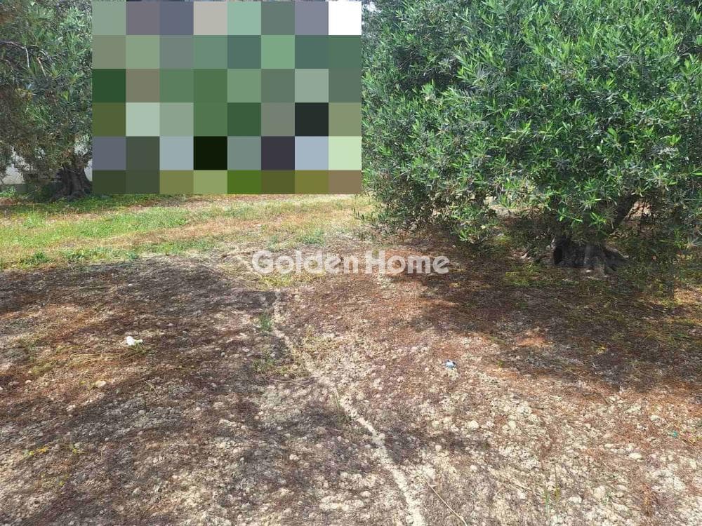 Οικόπεδο στην Βασιλείες, Αρχάνες — Φωτογραφία 4 από 16