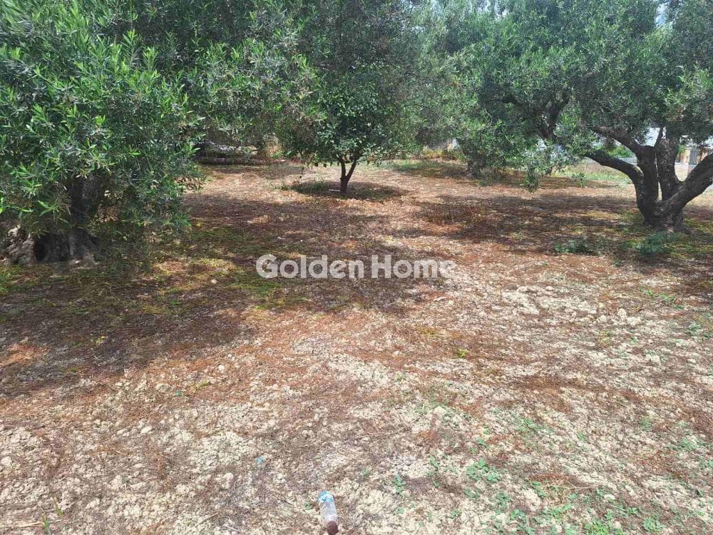 Οικόπεδο στην Βασιλείες, Αρχάνες — Φωτογραφία 5 από 16