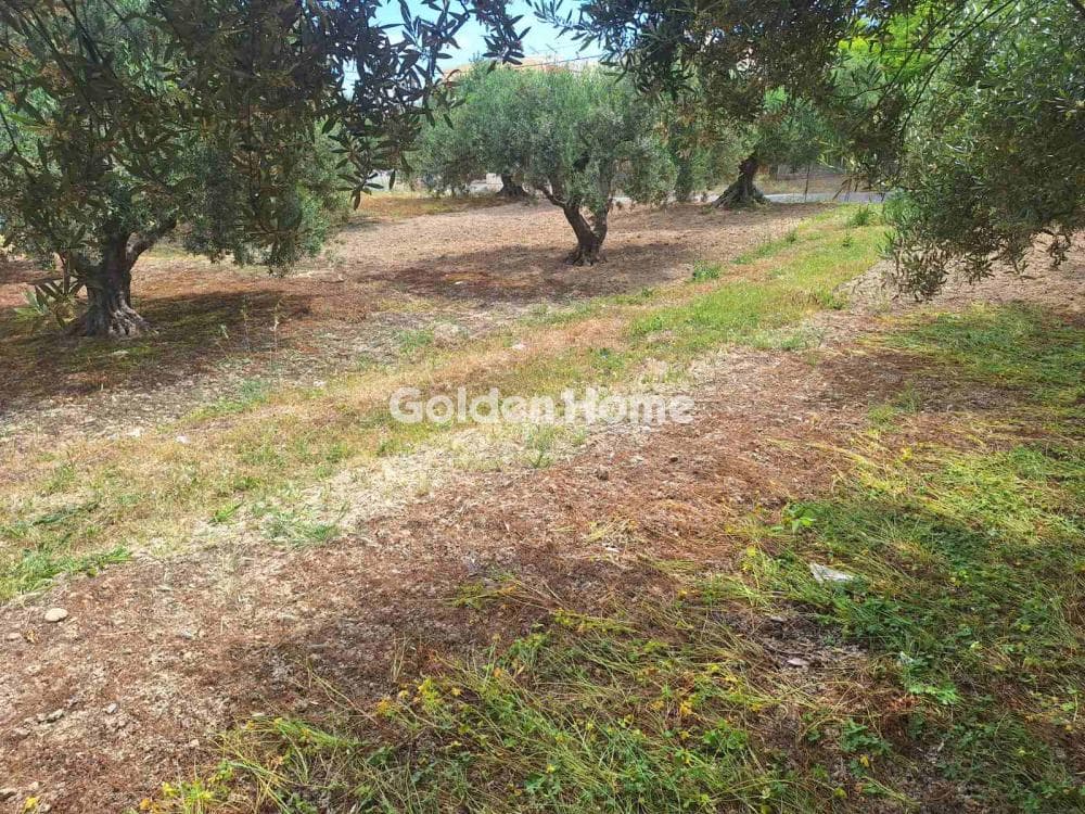 Οικόπεδο στην Βασιλείες, Αρχάνες — Φωτογραφία 6 από 16
