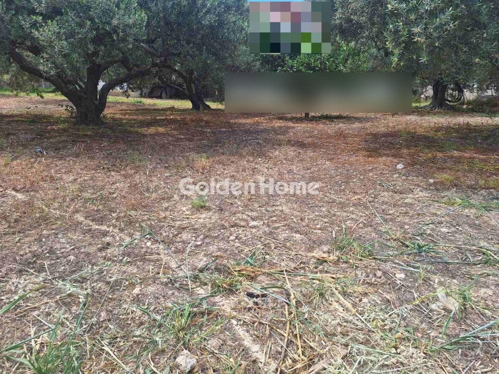 Οικόπεδο στην Βασιλείες, Αρχάνες — Φωτογραφία 10 από 16
