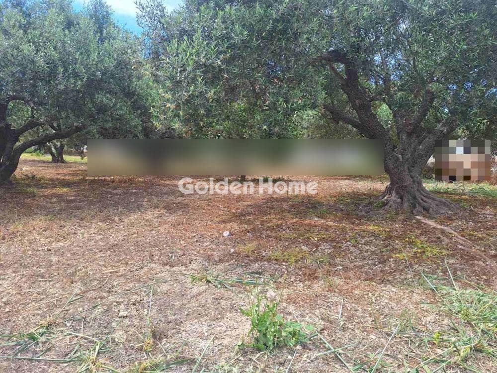 Οικόπεδο στην Βασιλείες, Αρχάνες — Φωτογραφία 14 από 16
