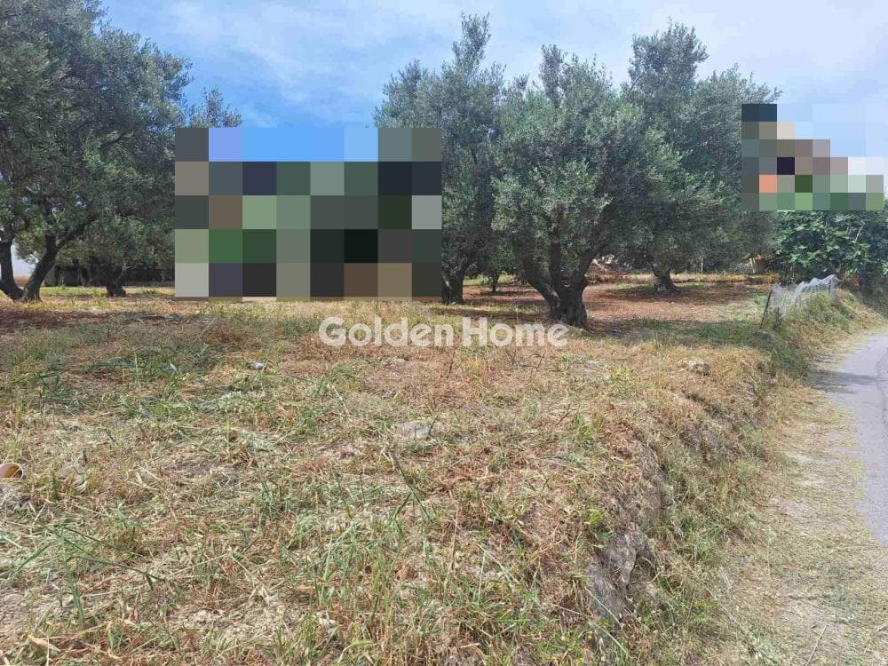 Οικόπεδο στην Βασιλείες, Αρχάνες — Φωτογραφία 15 από 16