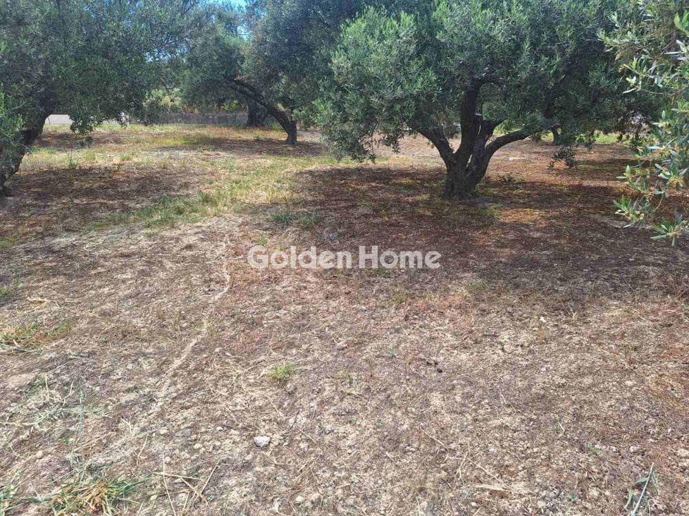 Οικόπεδο στην Βασιλείες, Αρχάνες — Φωτογραφία 16 από 16
