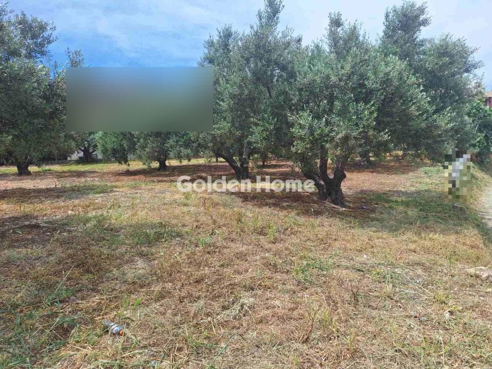 Οικόπεδο στην Βασιλείες, Αρχάνες — Φωτογραφία 16 από 27