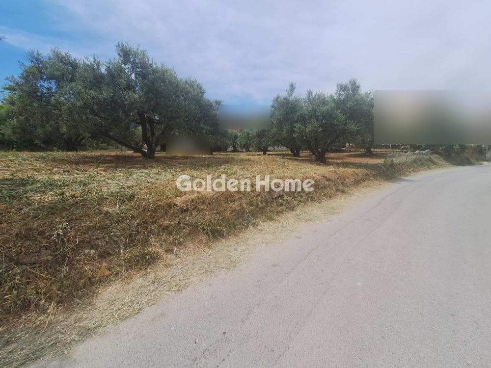 Οικόπεδο στην Βασιλείες, Αρχάνες — Φωτογραφία 17 από 27
