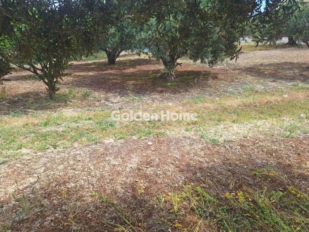 Οικόπεδο στην Βασιλείες, Αρχάνες — Φωτογραφία 1 από 27