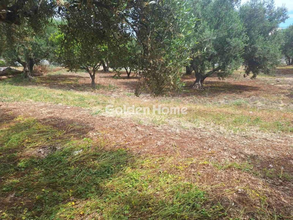 Οικόπεδο στην Βασιλείες, Αρχάνες — Φωτογραφία 3 από 27