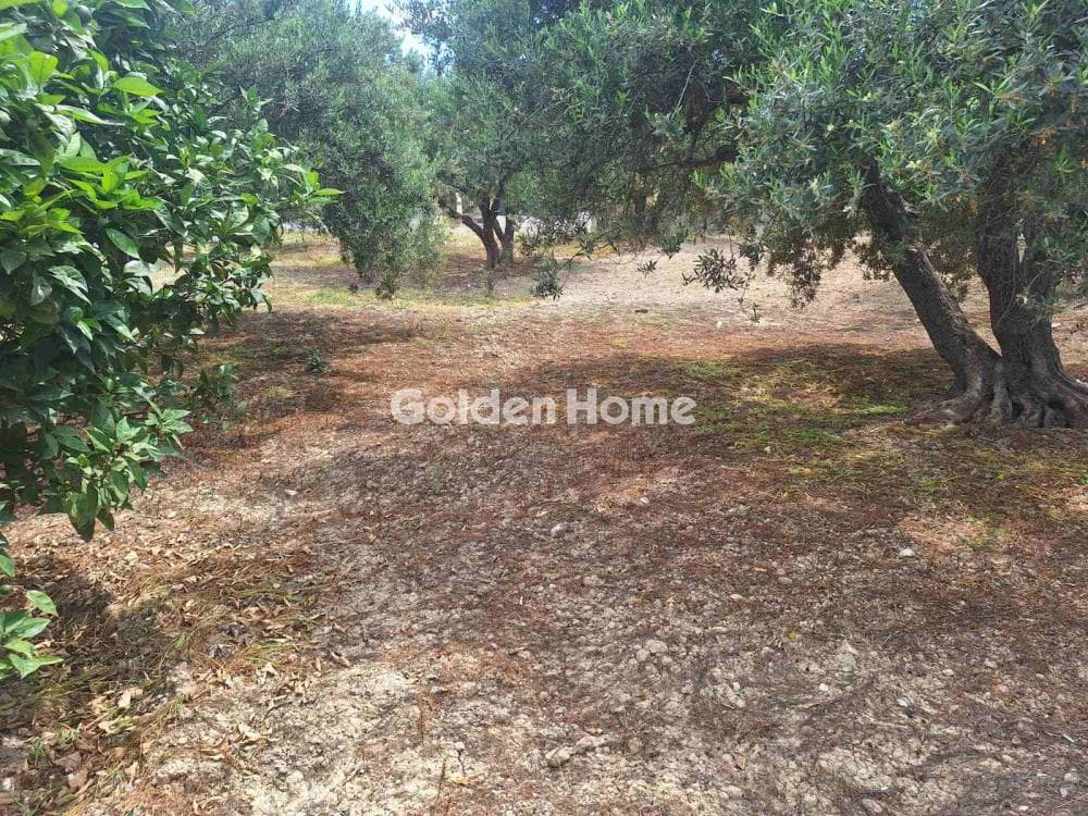 Οικόπεδο στην Βασιλείες, Αρχάνες — Φωτογραφία 7 από 27