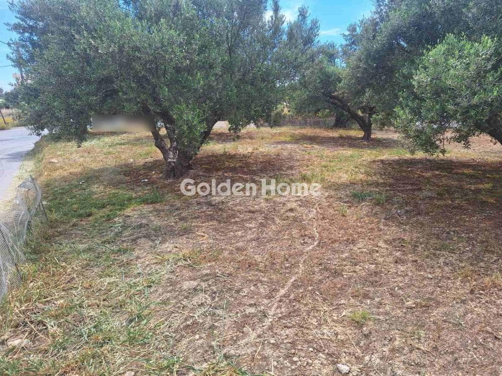 Οικόπεδο στην Βασιλείες, Αρχάνες — Φωτογραφία 10 από 27
