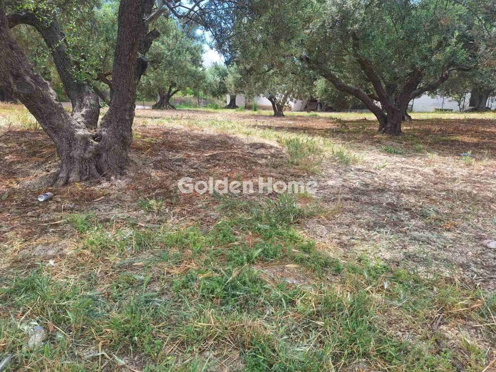 Οικόπεδο στην Βασιλείες, Αρχάνες — Φωτογραφία 26 από 27