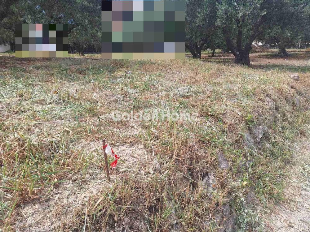 Οικόπεδο στην Βασιλείες, Αρχάνες — Φωτογραφία 23 από 27