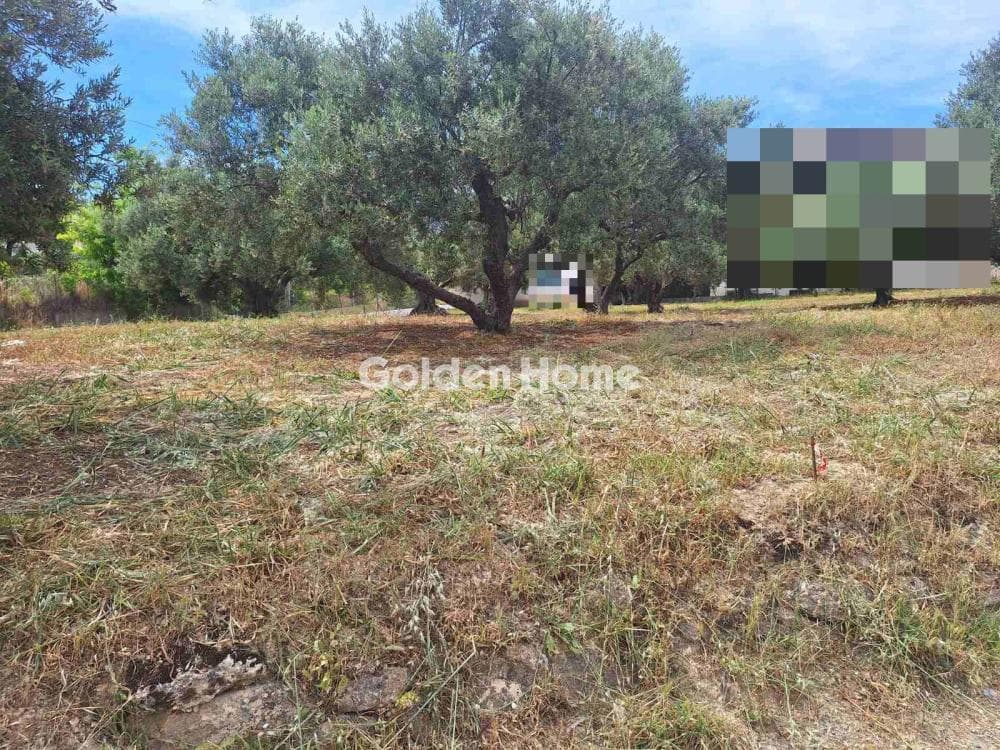 Οικόπεδο στην Βασιλείες, Αρχάνες — Φωτογραφία 13 από 27