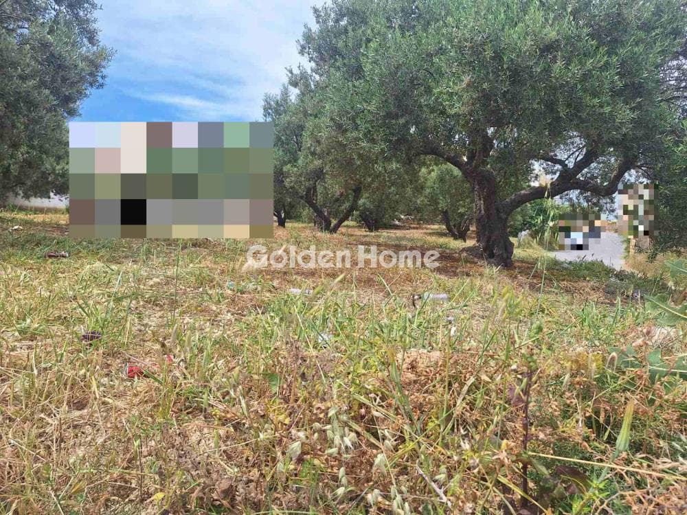 Οικόπεδο στην Βασιλείες, Αρχάνες — Φωτογραφία 14 από 27