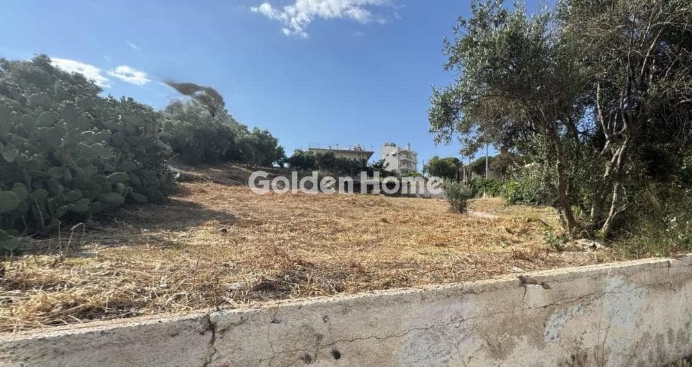 Building Plot in Proteas, Rafina