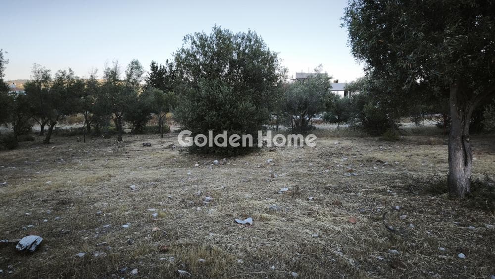 Οικόπεδο στην Μουσείο Βορρέ, Παιανία — Φωτογραφία 1 από 6