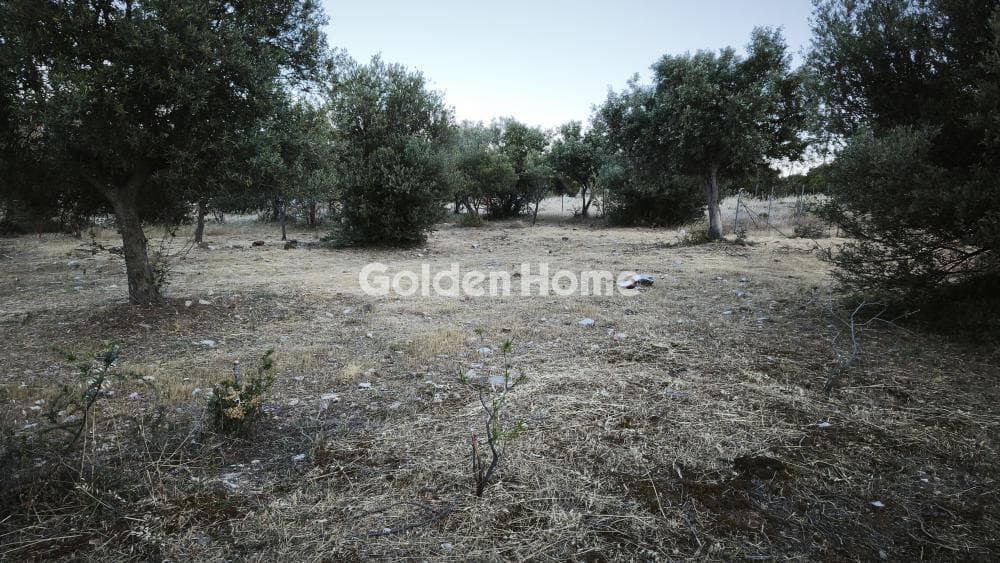 Οικόπεδο στην Μουσείο Βορρέ, Παιανία — Φωτογραφία 3 από 6