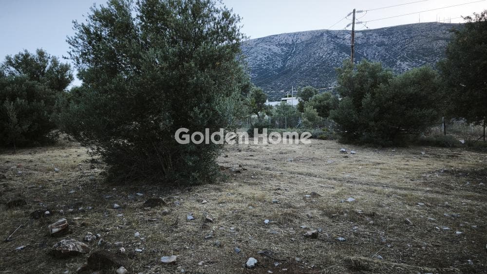 Οικόπεδο στην Μουσείο Βορρέ, Παιανία — Φωτογραφία 5 από 6