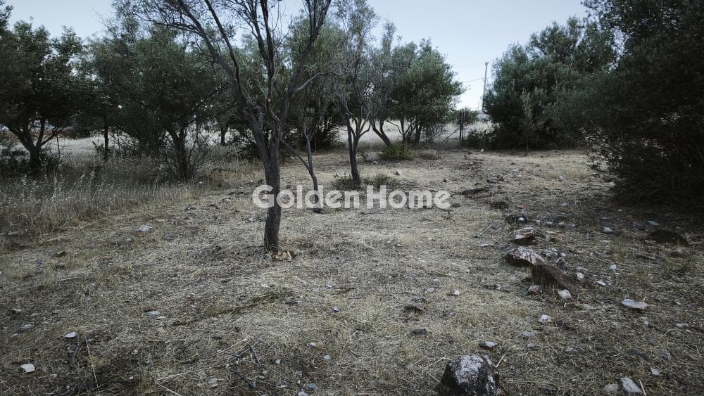 Οικόπεδο στην Μουσείο Βορρέ, Παιανία — Φωτογραφία 6 από 6