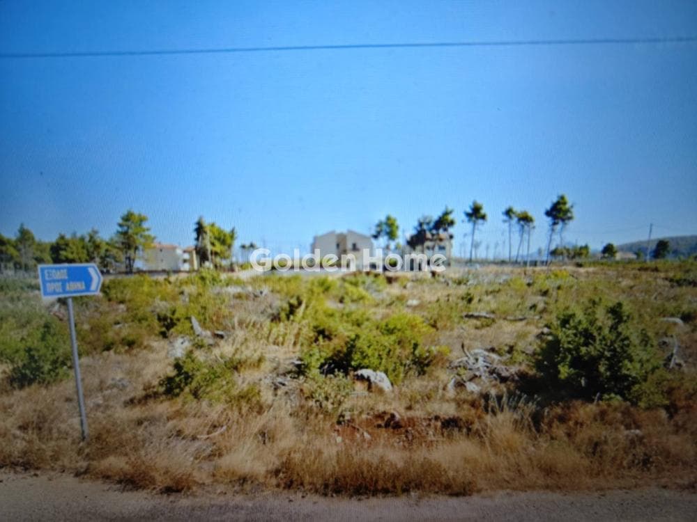 Building Plot in Agia Triada, Afidnes — Photo 2 of 2