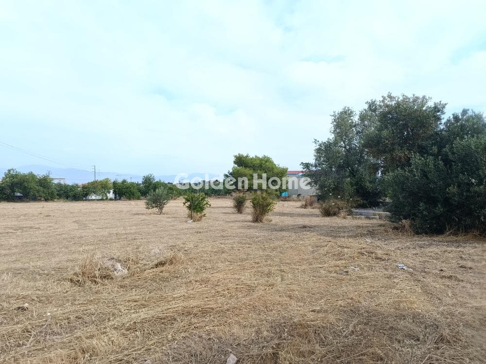 Οικόπεδο στην Κυψέλη, Αίγινα — Φωτογραφία 1 από 2