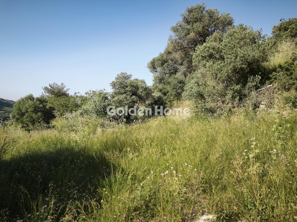 Οικόπεδο στην Κάτω Αρχάνες, Αρχάνες — Φωτογραφία 3 από 6