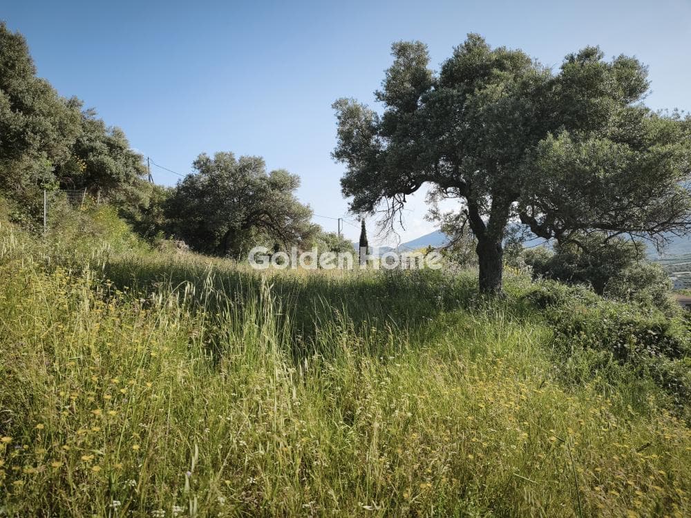 Οικόπεδο στην Κάτω Αρχάνες, Αρχάνες — Φωτογραφία 1 από 6