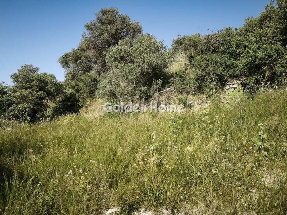 Οικόπεδο στην Κάτω Αρχάνες, Αρχάνες — Φωτογραφία 4 από 6