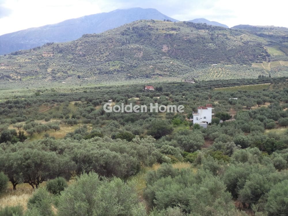 Μονοκατοικία στην Άγιος Νικόλαος, Αίγιο — Φωτογραφία 27 από 29