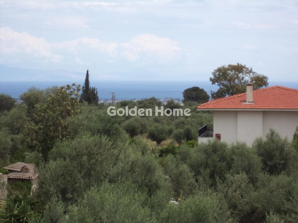 Μονοκατοικία στην Άγιος Νικόλαος, Αίγιο — Φωτογραφία 28 από 29