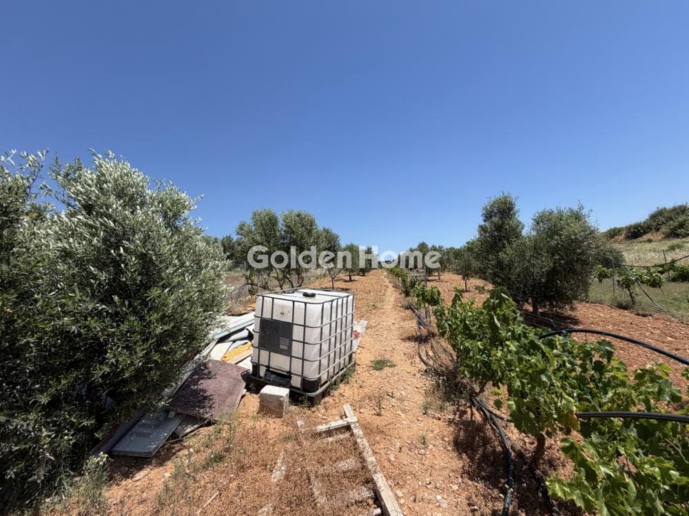 Μονοκατοικία στην Οικισμός Βγενά, Ραφήνα — Φωτογραφία 45 από 51