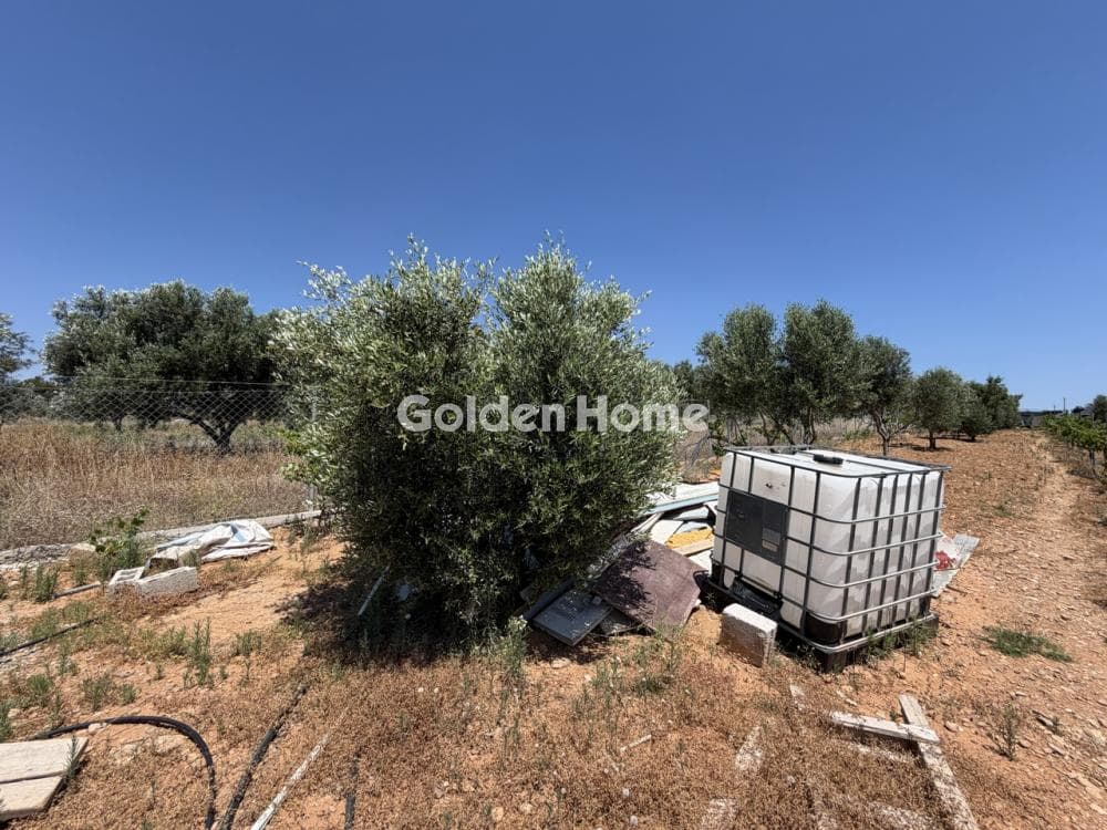 Μονοκατοικία στην Οικισμός Βγενά, Ραφήνα — Φωτογραφία 47 από 51