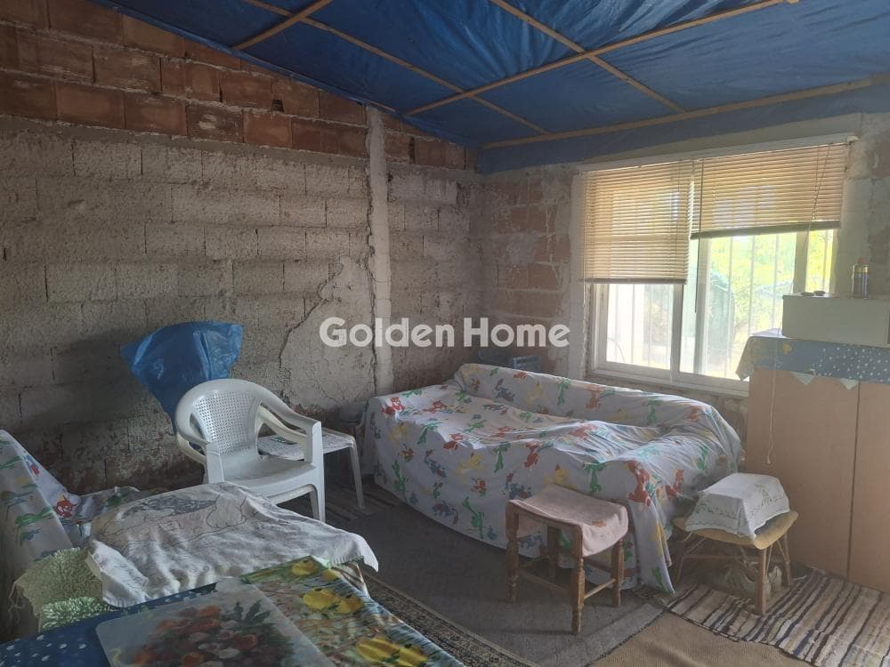 Parcel in Kalivia, Kalivia Thorikou — Photo 15 of 15