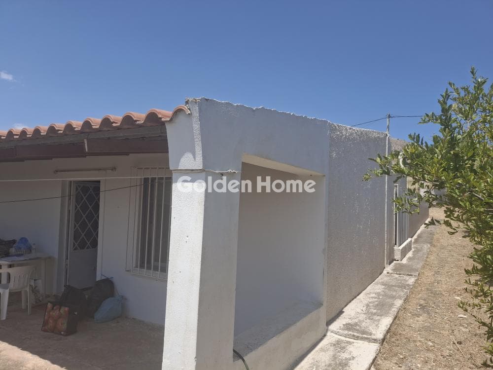 Parcel in Kalivia, Kalivia Thorikou — Photo 8 of 15