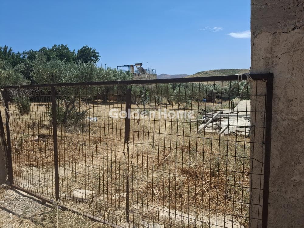 Parcel in Kalivia, Kalivia Thorikou — Photo 3 of 15