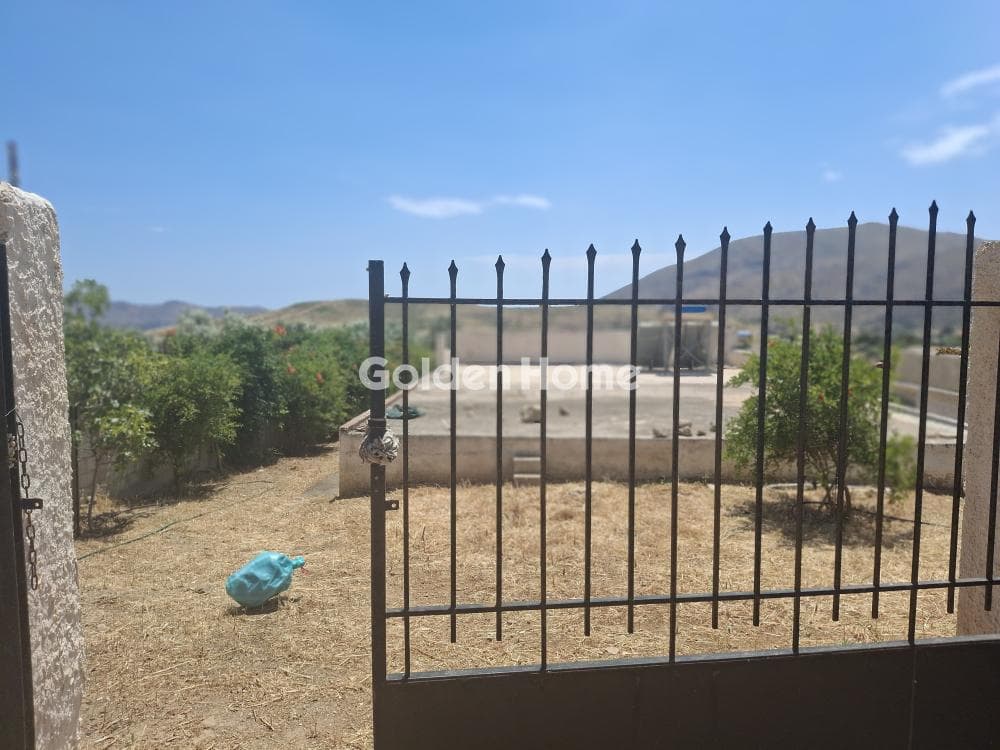 Parcel in Kalivia, Kalivia Thorikou — Photo 4 of 15