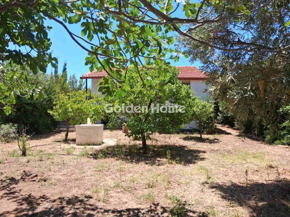 House in Kalivia, Kalivia Thorikou — Photo 11 of 11