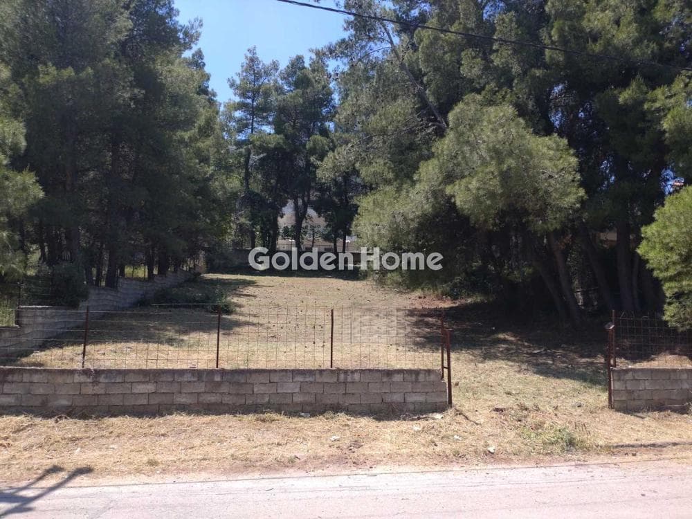 Οικόπεδο στην Δροσιά, Δροσιά — Φωτογραφία 1 από 2