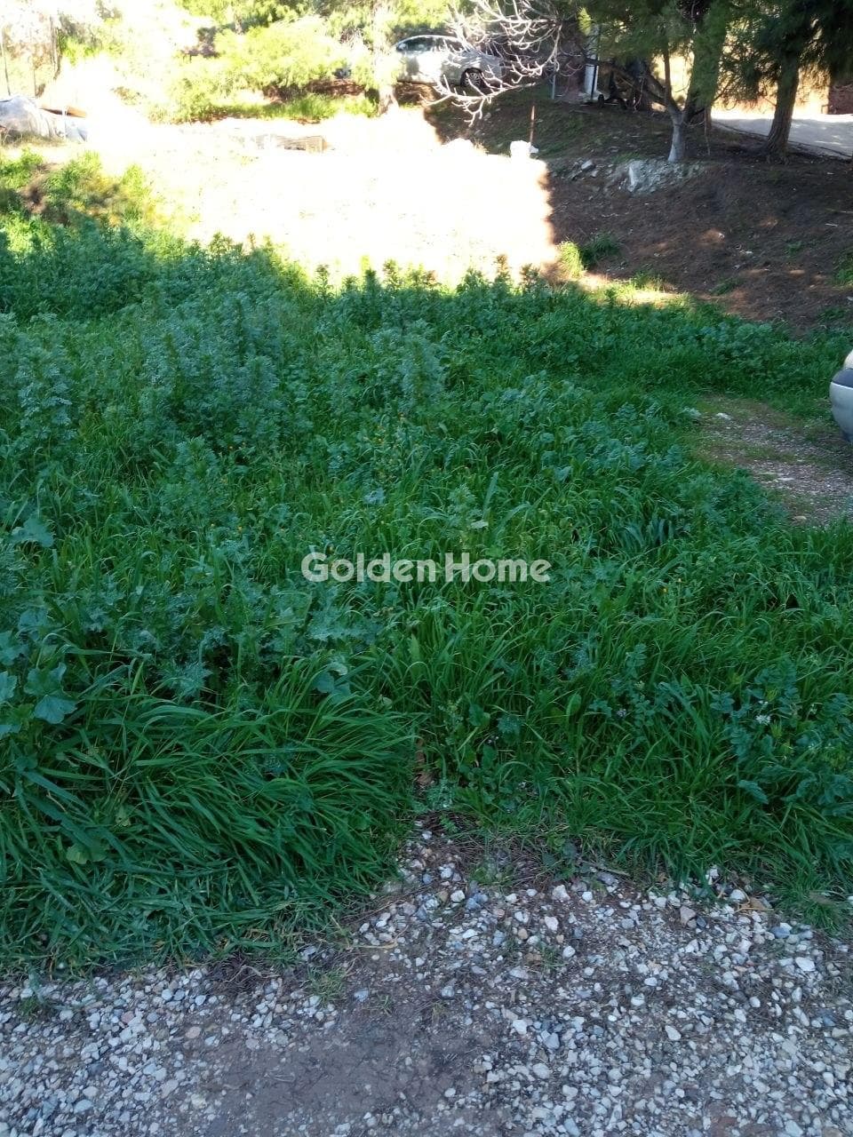 Οικόπεδο στην Ανθούσα, Ανθούσα — Φωτογραφία 1 από 3