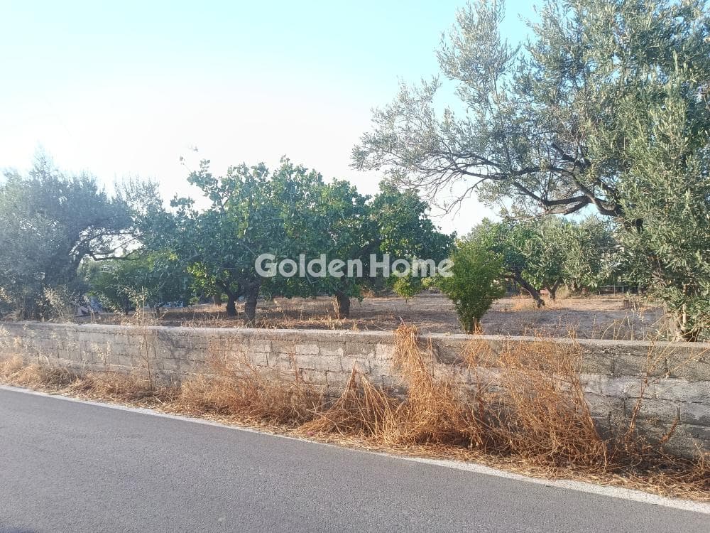 Οικόπεδο στην Παγώνι, Αίγινα — Φωτογραφία 1 από 2