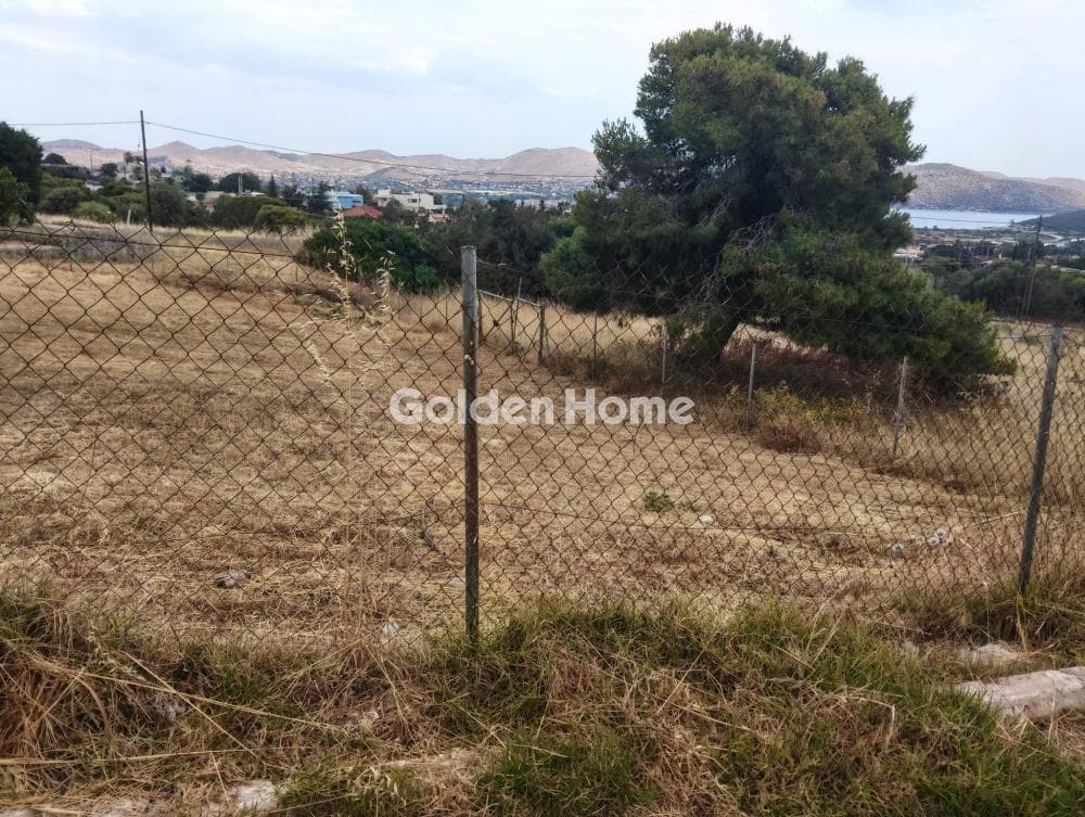Οικόπεδο στην Σαρωνίδα, Σαρωνίδα — Φωτογραφία 5 από 8