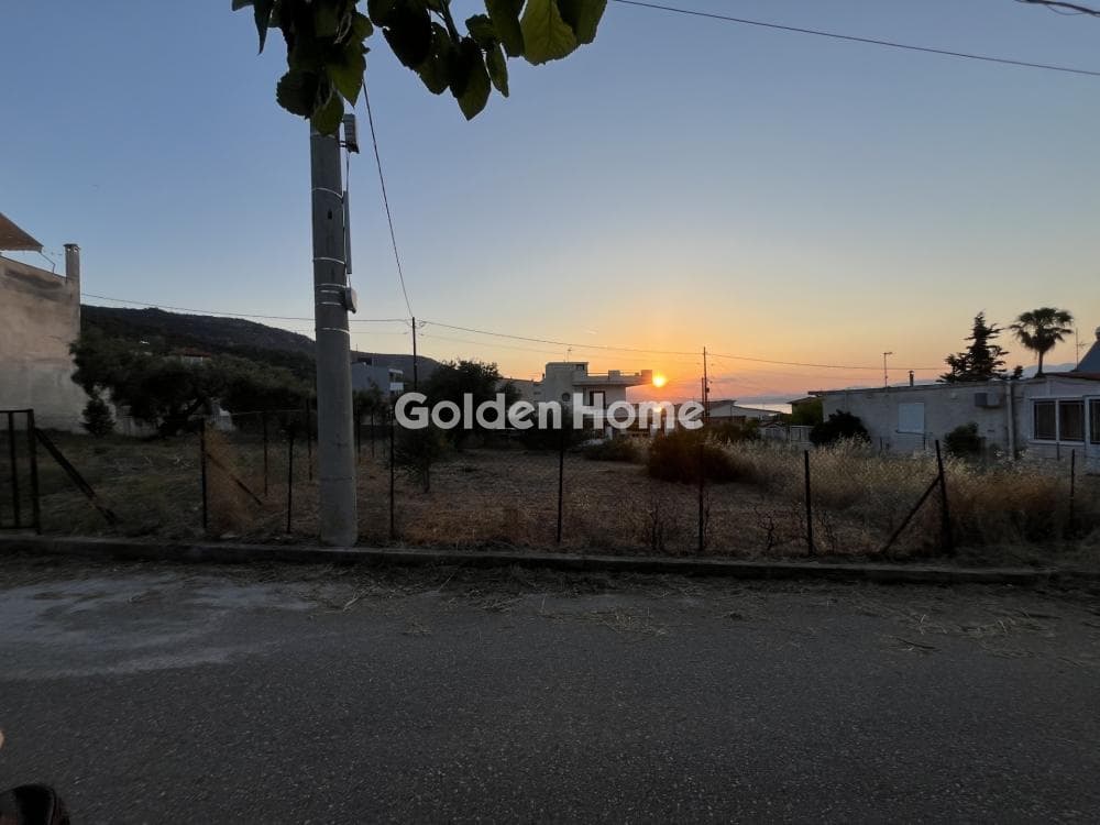 Building Plot in Aiantio, Salamina — Photo 9 of 9