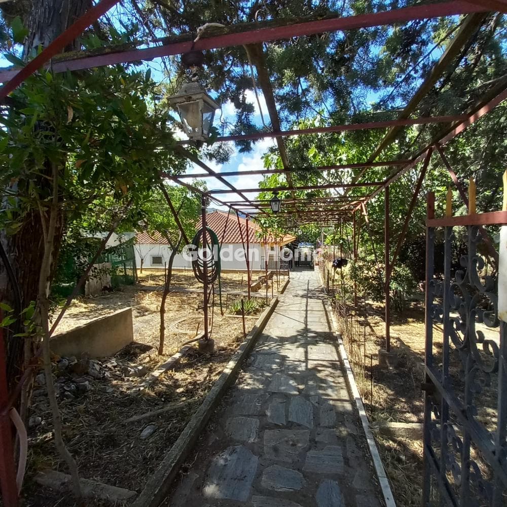 Μονοκατοικία στην Καπιτένια, Άγιος Στέφανος — Φωτογραφία 9 από 27