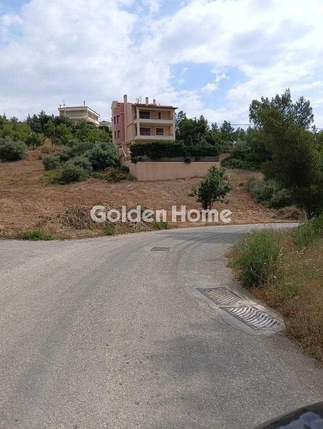 Οικόπεδο στην Δασαμάρι, Πικέρμι — Φωτογραφία 3 από 4