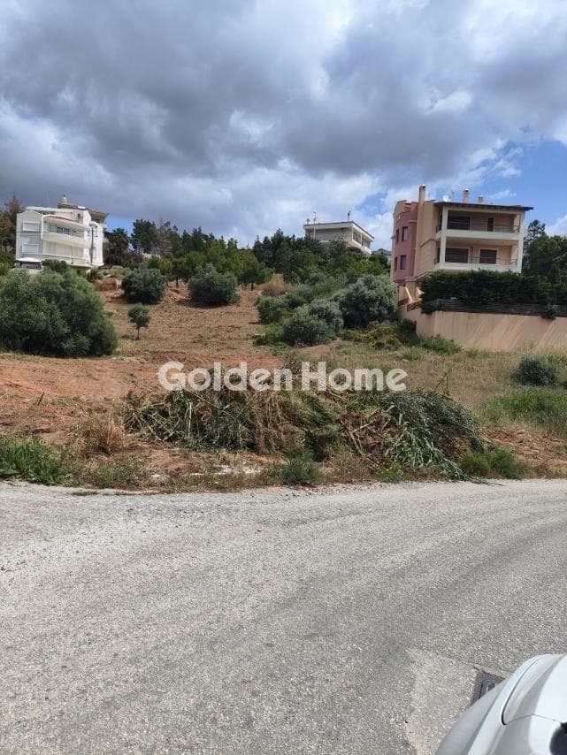 Οικόπεδο στην Δασαμάρι, Πικέρμι — Φωτογραφία 4 από 4