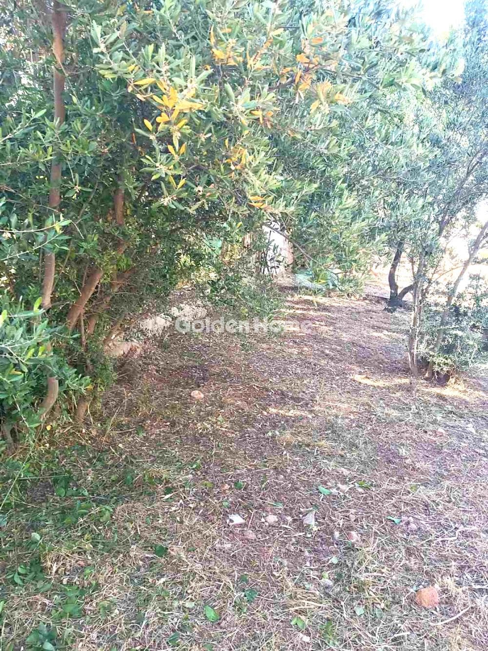 Οικόπεδο στην Ανθούσα, Ανθούσα — Φωτογραφία 5 από 6