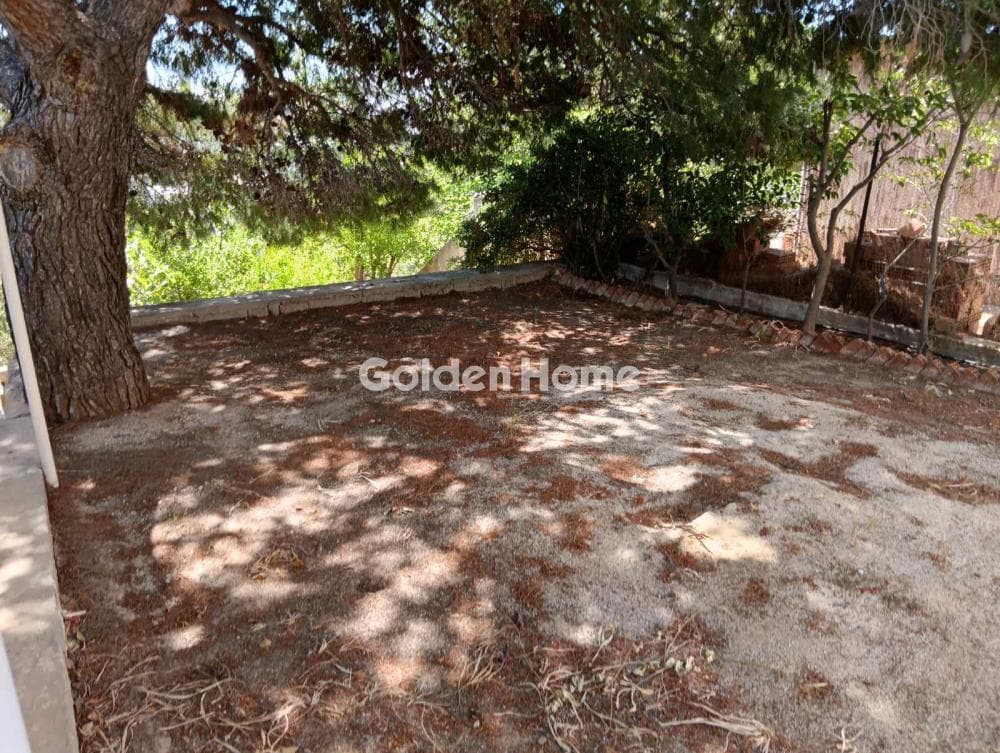 House in Galazia akti, Kalivia Thorikou — Photo 21 of 24