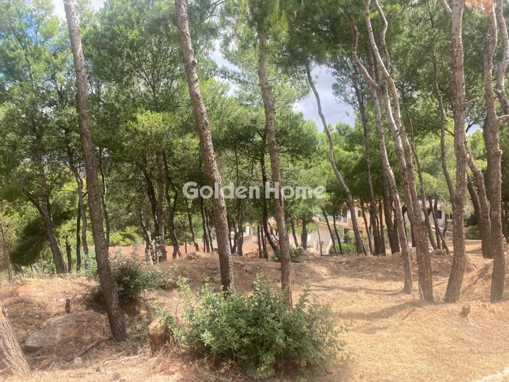 Building Plot in Kalitexnoupoli, Rafina