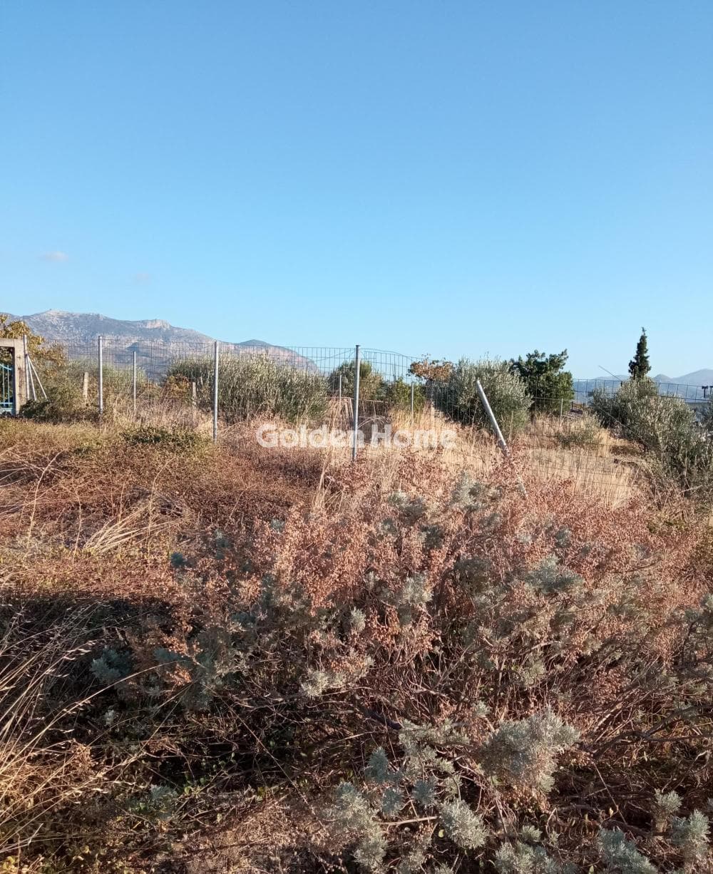 Building Plot in Athanatoi, Temenos — Photo 8 of 11